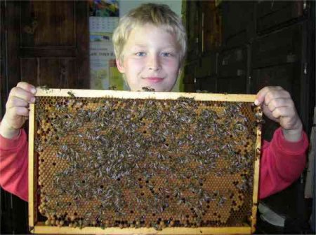 Čebelarstvo Bedek